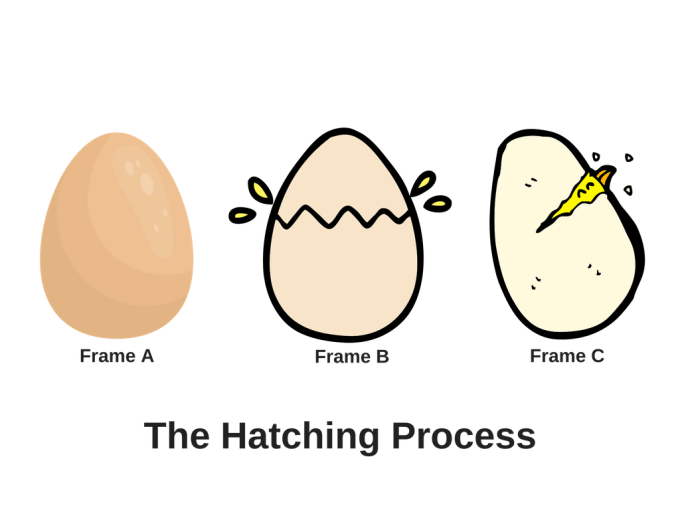 The Hatching Process